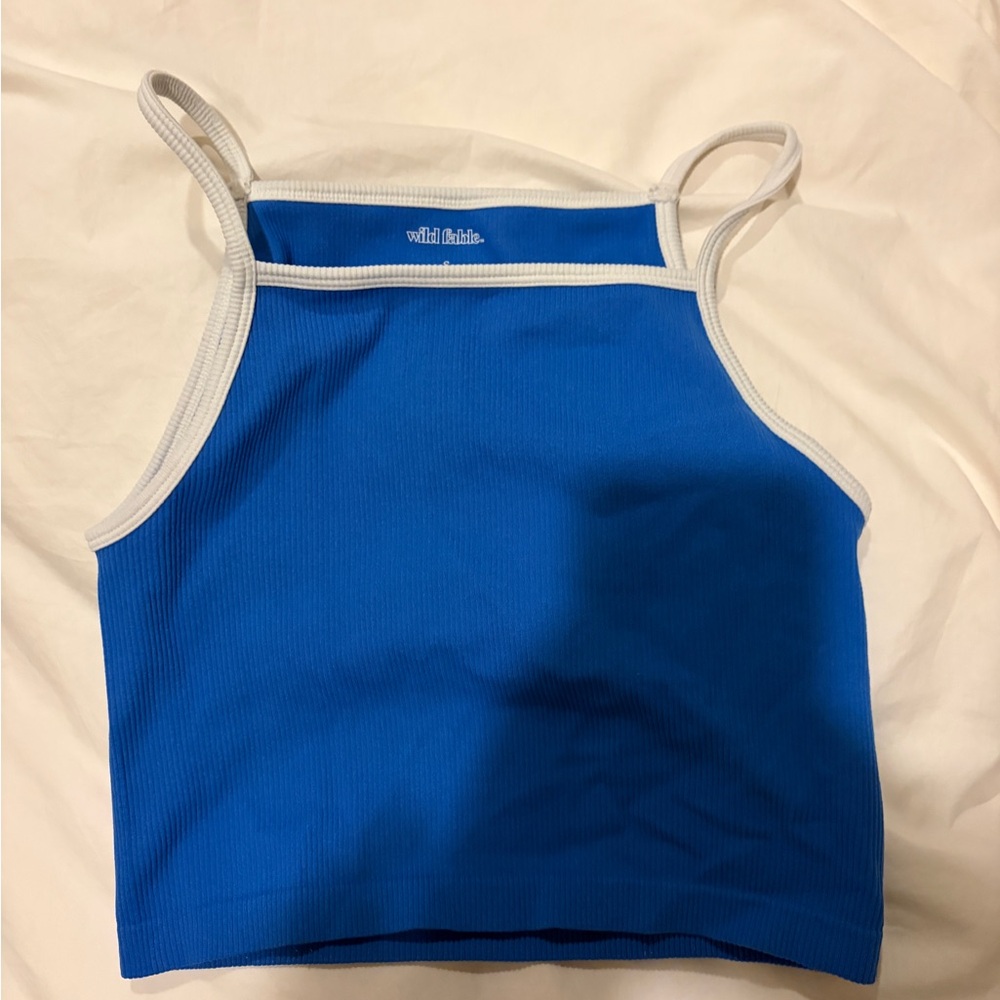 Wild Fable Blue and White Crop Top